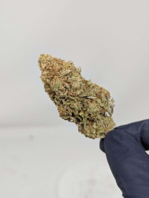 Kush Mints (AAA+) - Same Day Weed Delivery Vancouver, BC - Gastown Medicinal