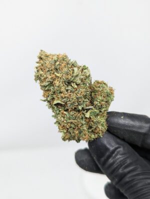 Buy BC Kush (AAA) Online in Vancouver - Gastown Medicinal