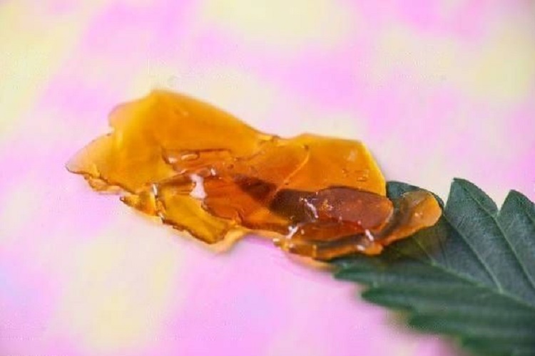 What You Should Know About Cannabis Concentrate
