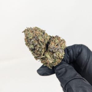Same Day Weed Delivery in Coquitlam - Gastown Medicinal