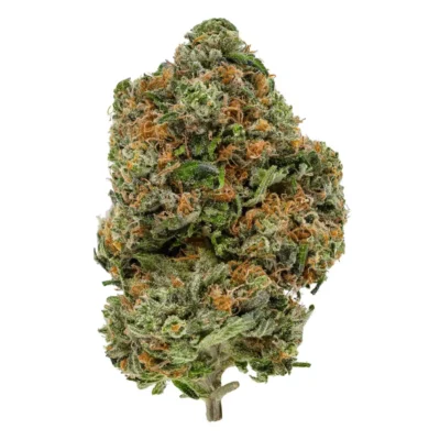 Home - Gastown Medicinal