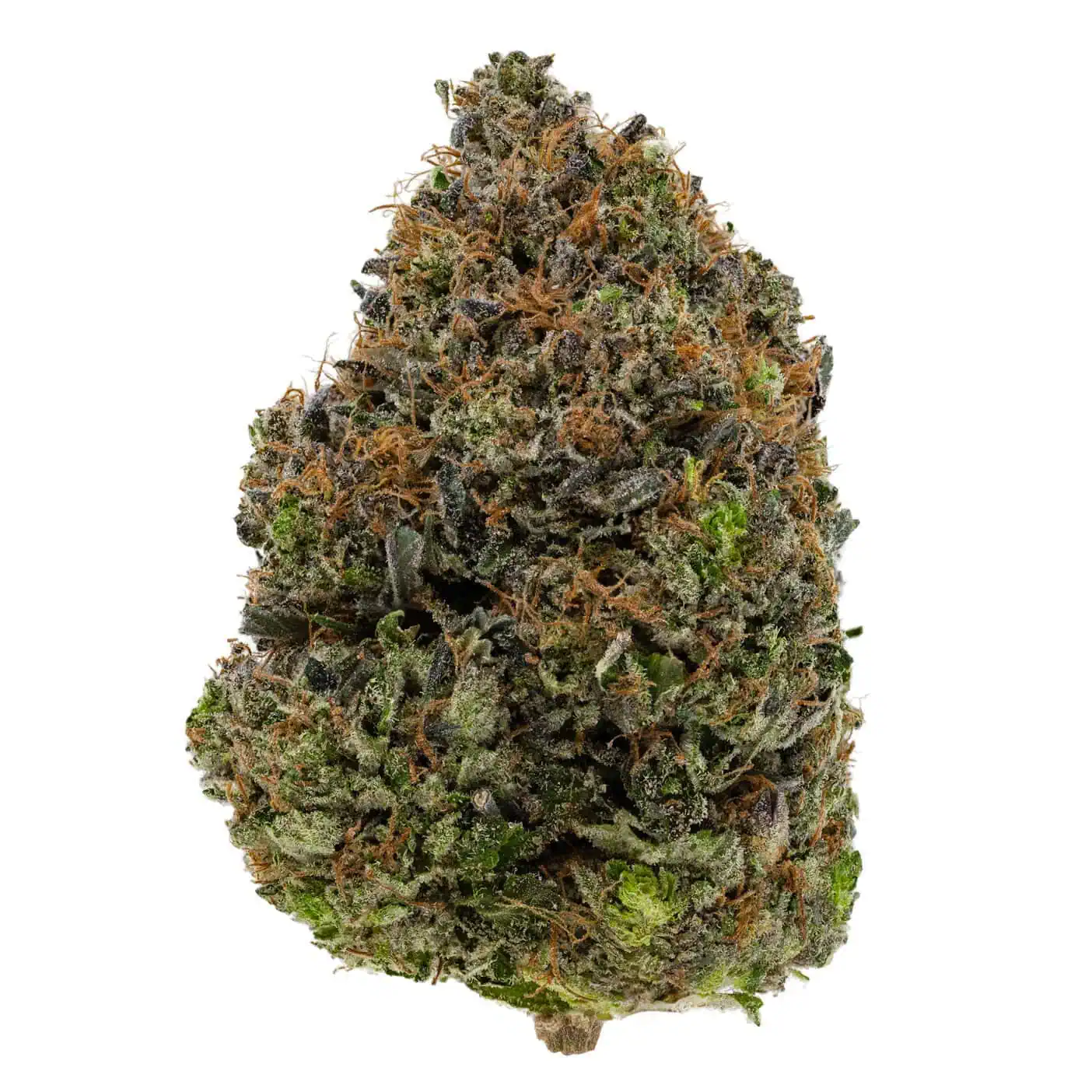 Lindsay Rockstar (AAA+) - Gastown Medicinal Lindsay Rockstar (AAA+) - Gastown Medicinal